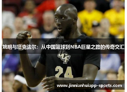 姚明与塔克法尔：从中国篮球到NBA巨星之路的传奇交汇